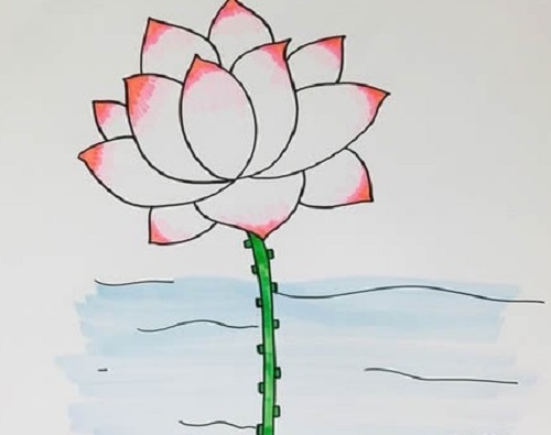 荷花简笔画图片简单画法 荷花简笔画儿童画好看