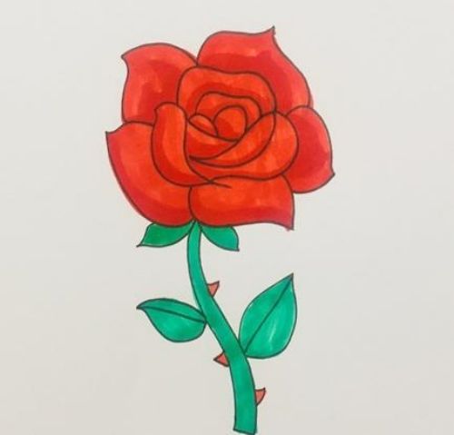 玫瑰花简笔画彩色漂亮图片 玫瑰花简笔怎么画讲解-素描自学网 玫瑰花简笔画彩色漂亮图片 玫瑰花简笔怎么画讲解