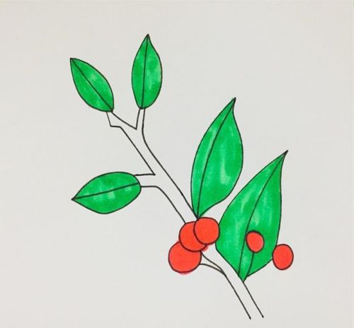 冬青简笔画图片大全 冬青简笔画怎么画