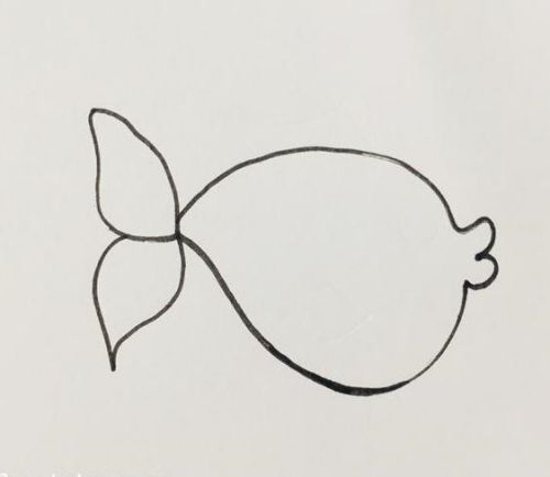 小鱼简笔画简单又可爱带颜色 小鱼简笔画怎么画好看