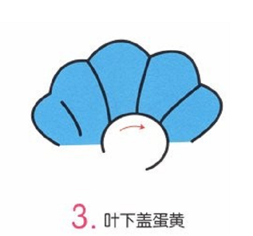 小贝壳简笔画彩色步骤图 小贝壳简笔画简单儿童画法