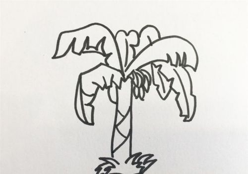 香蕉树简笔画图片带颜色 香蕉树简笔画怎么画