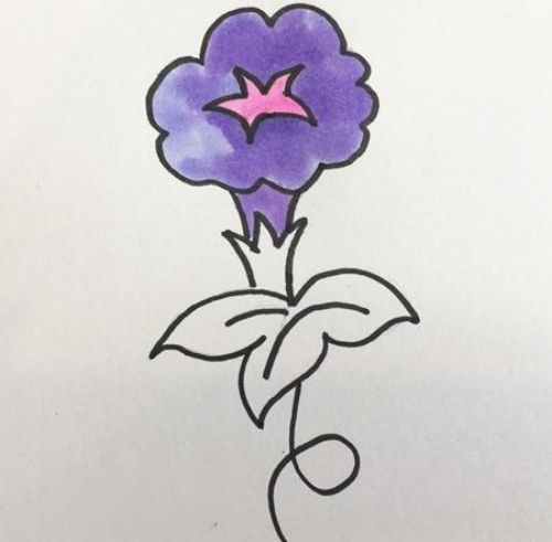 牵牛花简笔画简单又漂亮 牵牛花简笔画彩色怎么画
