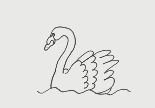 漂亮的天鹅简笔画简怎么画 天鹅简笔画儿童步骤教程