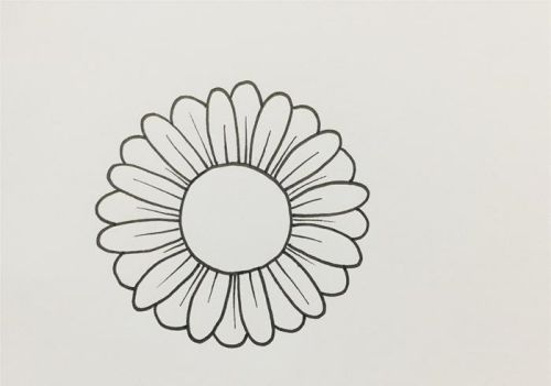 雏菊简笔画图片带颜色 雏菊简笔画怎么画