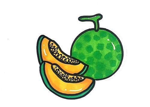 如何画哈密瓜一步一步教 哈密瓜简笔画画法