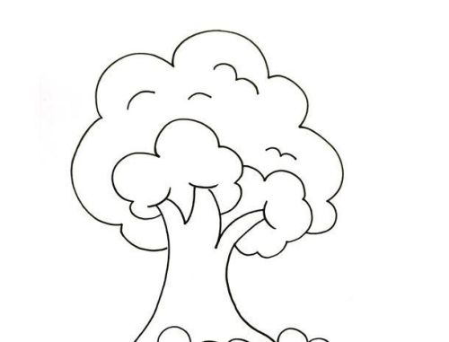 大树简笔画图片大全带颜色 大树简笔画怎么画-素描自学网 大树简笔画图片大全带颜色 大树简笔画怎么画