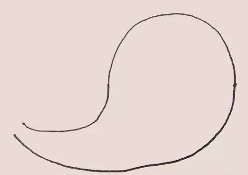 海豹简笔画怎么画 海豹简笔画图片步骤讲解