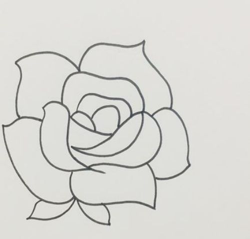 玫瑰花简笔画彩色漂亮图片 玫瑰花简笔怎么画讲解-素描自学网 玫瑰花简笔画彩色漂亮图片 玫瑰花简笔怎么画讲解