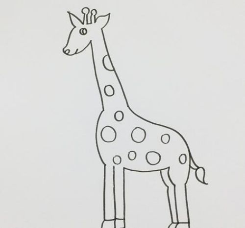 长颈鹿简笔画可爱一步一步教学 长颈鹿简笔画彩色简单