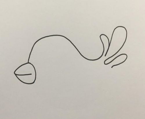 小鸟简笔画可爱一步一步教学 小鸟简笔画彩色简单
