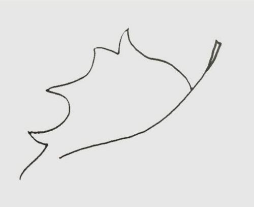 叶子简笔画怎么画 叶子简笔画儿童画教程-素描自学网 叶子简笔画怎么画 叶子简笔画儿童画教程