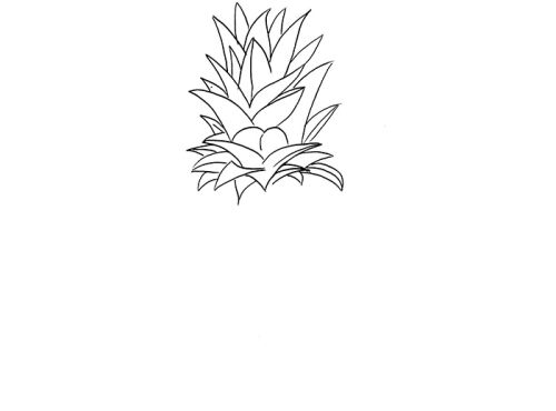 菠萝简笔画怎么画 菠萝简笔画彩色画法图解