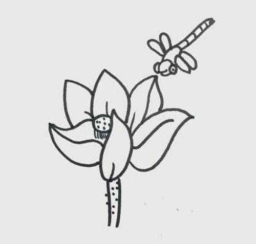 蜻蜓简笔画儿童简笔画 蜻蜓简笔画可爱卡通画法