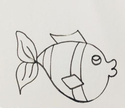 小鱼简笔画简单又可爱带颜色 小鱼简笔画怎么画好看