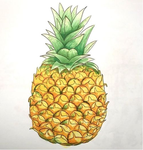 菠萝简笔画怎么画 菠萝简笔画彩色画法图解
