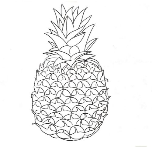 菠萝简笔画怎么画 菠萝简笔画彩色画法图解