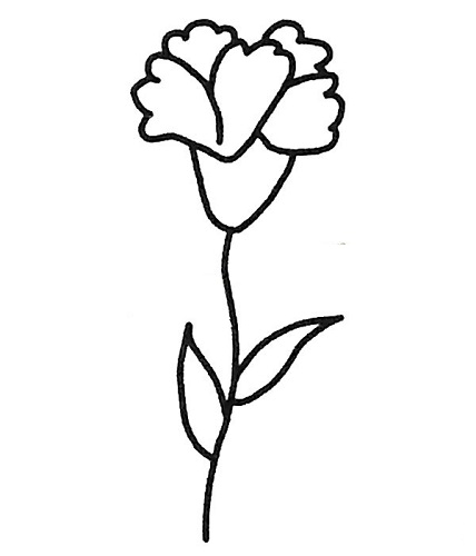 康乃馨简笔画儿童画图片大全 康乃馨简单简笔画