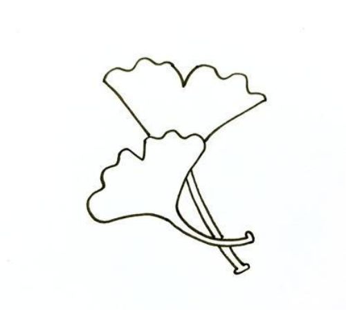 银杏树叶简笔画图片大全 银杏树叶简笔画怎么画-素描自学网 银杏树叶简笔画图片大全 银杏树叶简笔画怎么画