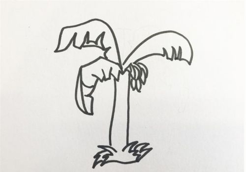 香蕉树简笔画图片带颜色 香蕉树简笔画怎么画
