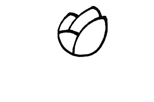 玫瑰花简笔画简单漂亮 玫瑰花简笔画一朵步骤