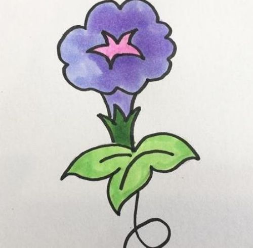牵牛花简笔画简单又漂亮 牵牛花简笔画彩色怎么画