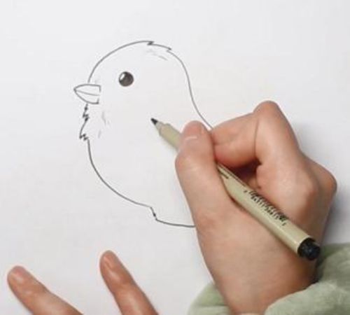 简笔画可爱小鸟 卡通小鸟简笔画彩色步骤图