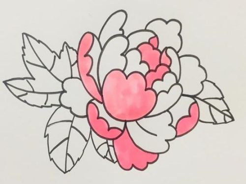 牡丹简笔画图片大全彩色 牡丹简笔画简单好看-素描自学网 牡丹简笔画图片大全彩色 牡丹简笔画简单好看