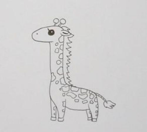 长颈鹿简笔画大全带颜色可爱 长颈鹿简笔画彩色可爱