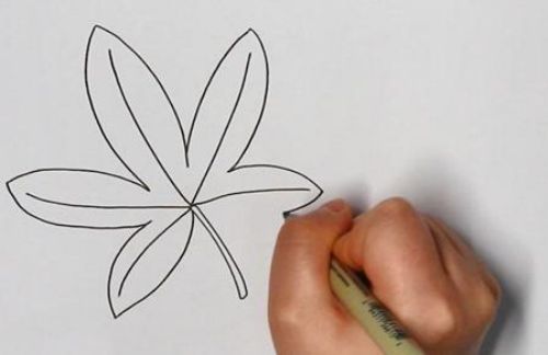 叶子简笔画画法教程 叶子简笔画图片一步一步教