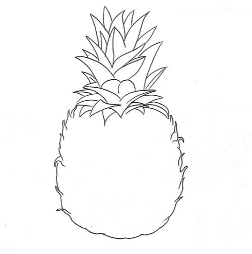 菠萝简笔画怎么画 菠萝简笔画彩色画法图解