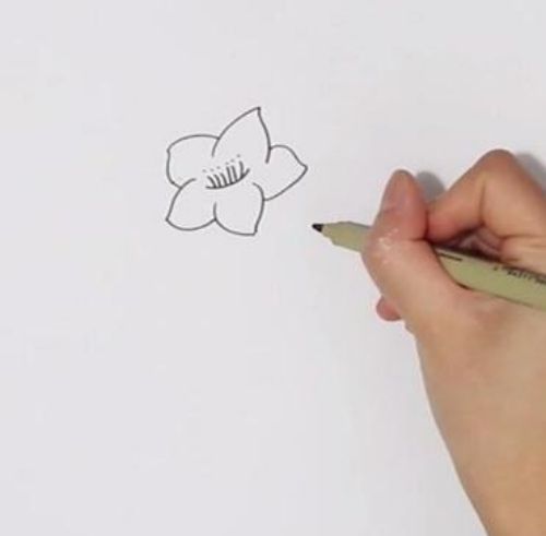 桃花简笔画儿童画步骤图教程 桃花花朵简笔画