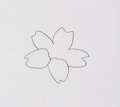 迎春花简笔画儿童画步骤图教程 迎春花简笔画怎么画