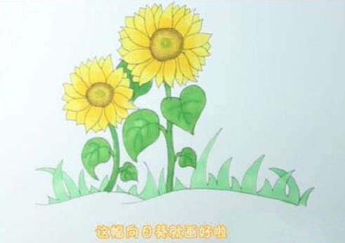 向日葵简笔画怎么画儿童 向日葵简笔画简单漂亮