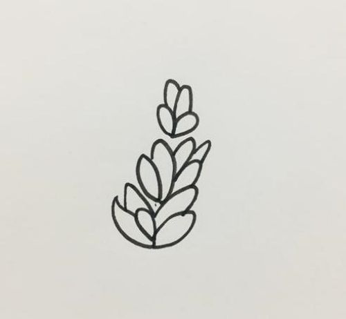 薰衣草简笔画儿童简笔画 薰衣草简笔画漂亮带颜色画法