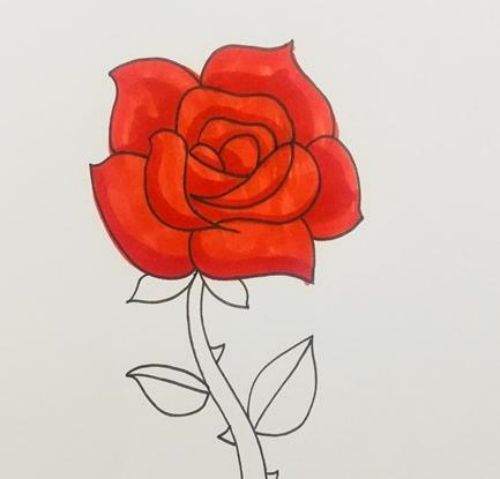 玫瑰花简笔画彩色漂亮图片 玫瑰花简笔怎么画讲解-素描自学网 玫瑰花简笔画彩色漂亮图片 玫瑰花简笔怎么画讲解