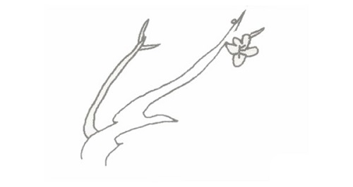 梅花简笔画怎么画 梅花简笔画图片带颜色简单画法