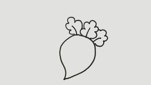 萝卜简笔画怎么画可爱卡通 萝卜简笔画图片带颜色-素描自学网 萝卜简笔画怎么画可爱卡通 萝卜简笔画图片带颜色