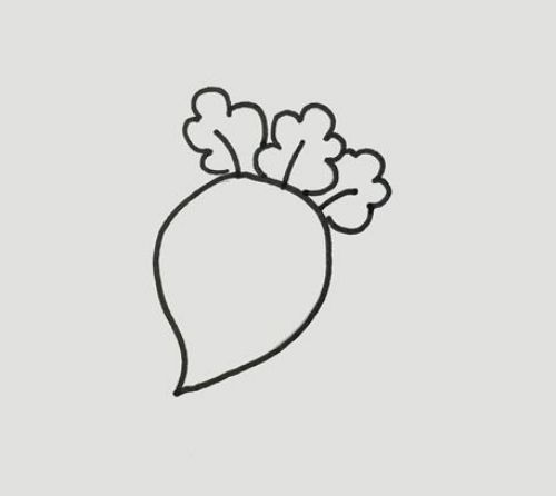 萝卜简笔画怎么画 萝卜简笔画绘画步骤-素描自学网 萝卜简笔画怎么画 萝卜简笔画绘画步骤