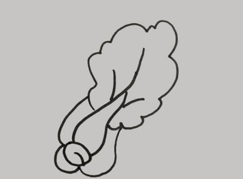 青菜简笔画怎么画 青菜简笔大全图片带颜色-素描自学网 青菜简笔画怎么画 青菜简笔大全图片带颜色