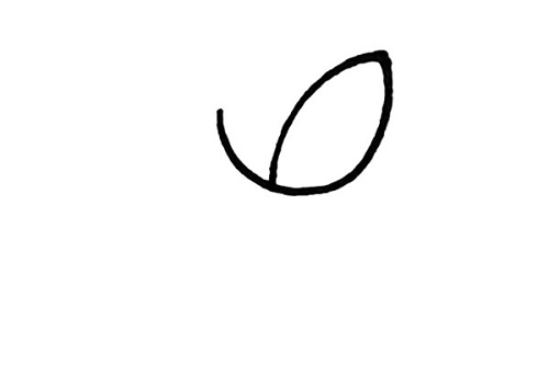 玫瑰花简笔画简单漂亮 玫瑰花简笔画一朵步骤