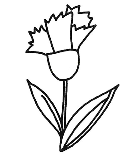 康乃馨简笔画儿童画图片大全 康乃馨简单简笔画