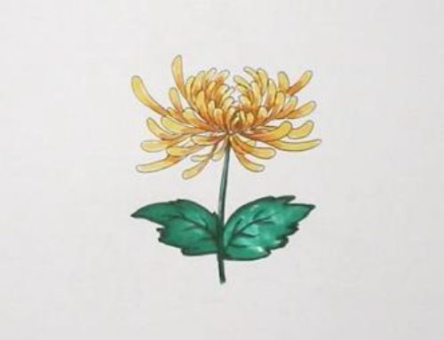 菊花简笔画画法教程 菊花简笔画好看简单