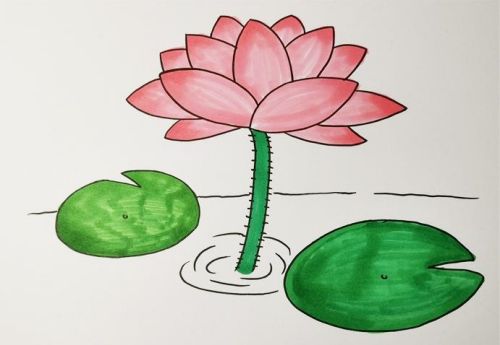 荷花简笔画怎么画 荷花简笔画简单又好看画法