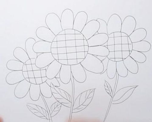 向日葵简笔画怎么画 向日葵简笔画图片大全彩色可爱