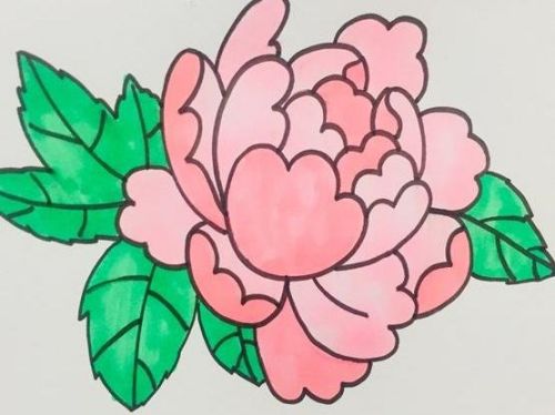 牡丹简笔画图片大全彩色 牡丹简笔画简单好看-素描自学网 牡丹简笔画图片大全彩色 牡丹简笔画简单好看