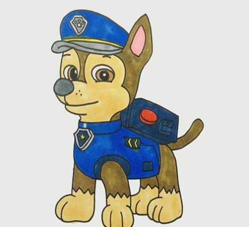 彩色汪汪队阿奇简笔画怎么画 汪汪队阿奇简笔画一步一步教