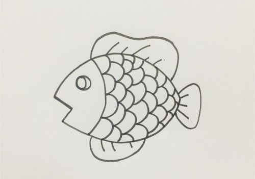 带颜色小鱼简笔画怎么画 简单又可爱小鱼简笔画画法步骤