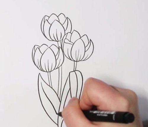 彩色郁金香简笔画绘画步骤 手绘郁金香简笔画怎么画