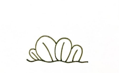 狗尾草简笔画绘画步骤 简单漂亮狗尾草简笔画怎么画